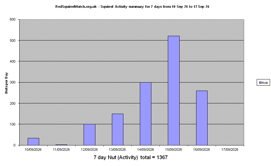 Click to view Activity Summary chart full-size