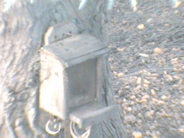Recent Webcam Image